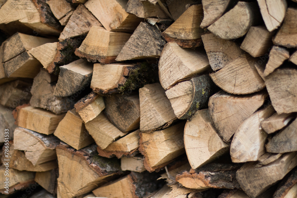 Background of a lot of firewood. Great wood texture. Background of a lot of firewood. Great wood texture.
