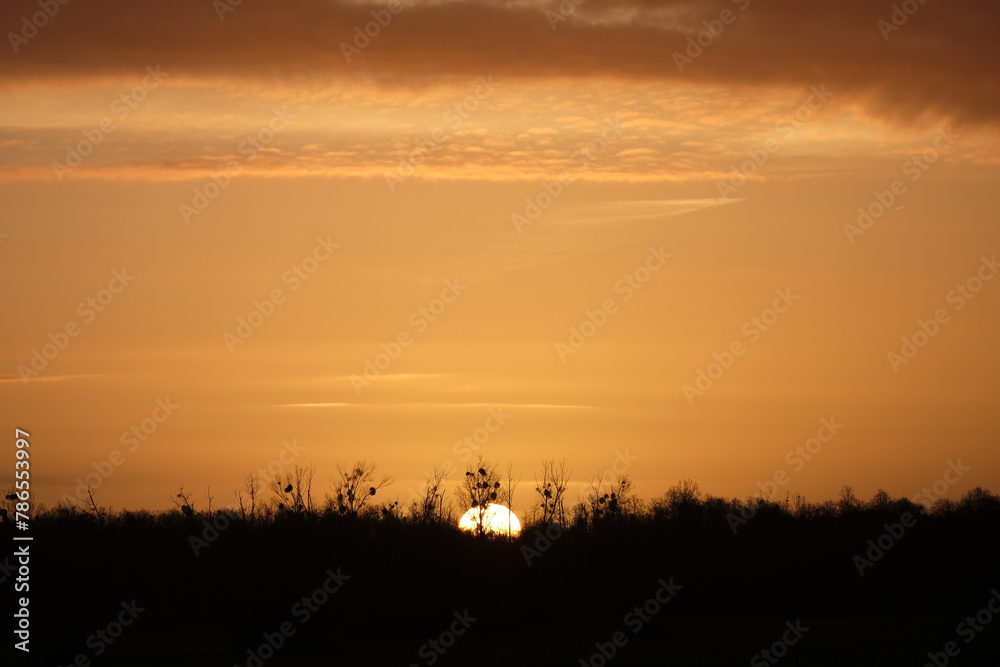 Obraz premium Sonnenaufgang am 17.03.2024