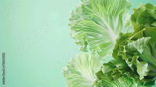 lettuce A photorealistic illustration against pastel pastel green background with copy space for text or logo, beautifully illuminated by studio lighting 