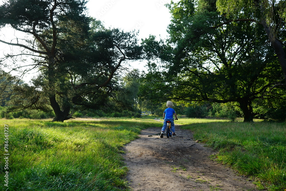 Child biking in the woods