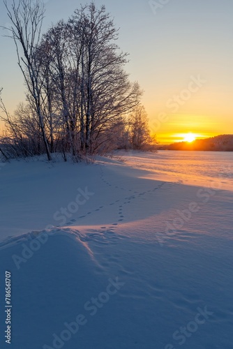 winter landscape in Karelia, lake under snow at sunset