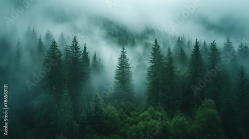 A serene and foggy forest with tall trees disappearing into the mist. AI generate illustration © PandaStockArt