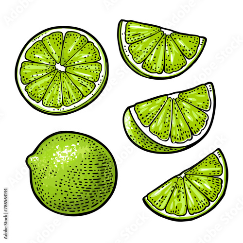 Lime whole and slice. Vintage color vector engraving illustration for label poster web. Isolated on white background © MoreVector