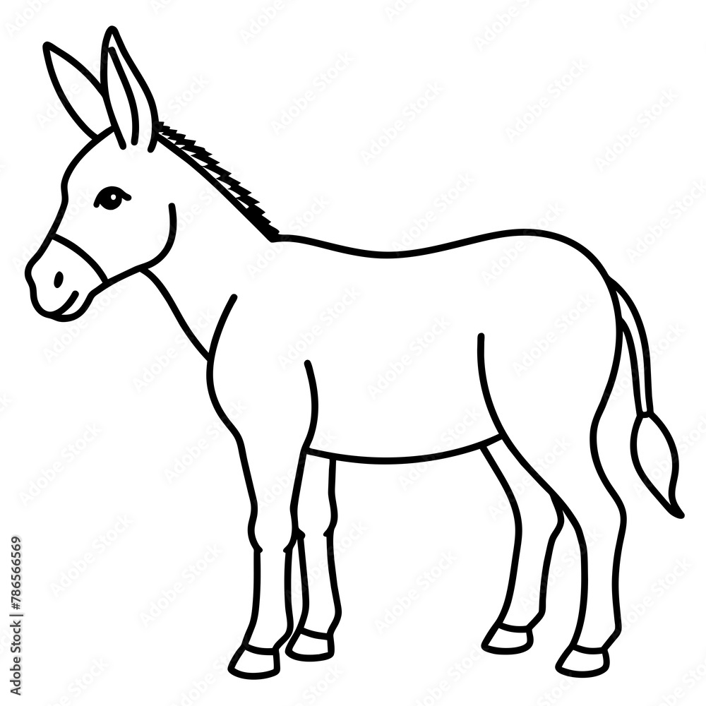 donkey isolated on white background donkey isolated on white background