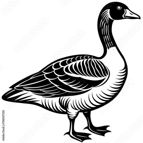 goose