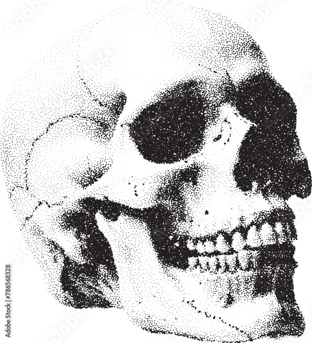 Human skull in dotwork or tattoo style. Mystic skull, drawn with dots