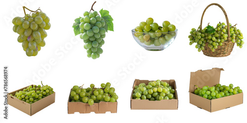 Fresh green grape transparent collection set in png no background for decoration.