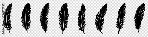 Set of bird feather icons. Platelet collection. Vector illustration isolated on transparent background