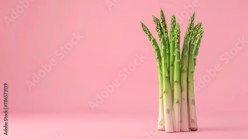 Asparagus A photorealistic illustration against pastel pastel pink background with copy space for text or logo, beautifully illuminated by studio lighting