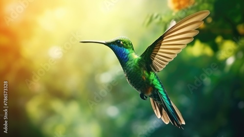 Hummingbird in flight. Colibri little bird closeup side view