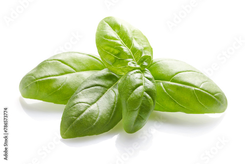 Basil herb on white background.