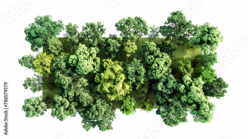 Aerial view woods trees cutout on white background