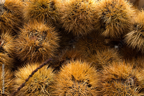 Chestnut dish from the Tuscan woods