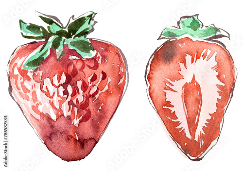 Strawberry isolated on white. Watercolor hand painted strawberry artwork.
