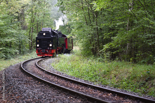 Die Harzer Schmalspurbahn