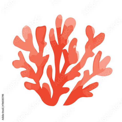 Algae in watercolor. Hand drawn botanical vector illustration.