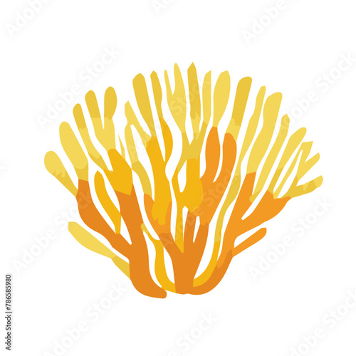Algae in watercolor. Hand drawn botanical vector illustration.