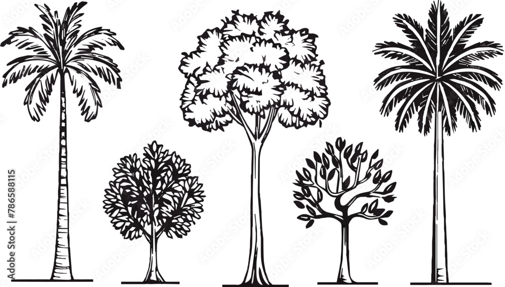 Fototapeta premium Minimal line drawing tree set for architecture and landscape vector design