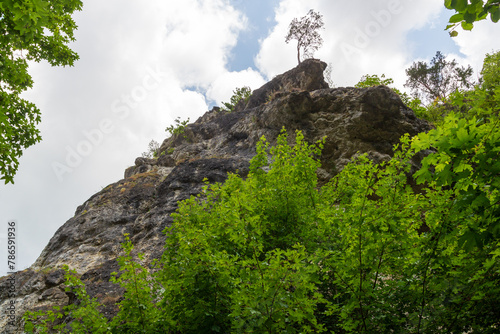 Climbing rock in the trees near Obertrubach in Franconian Switzerland, Germany