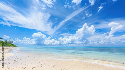 tropical beach  the beautiful expanse of the sky © pector