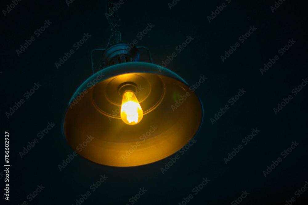 light bulb on the dark background