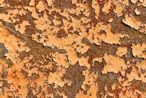Obraz na płótnie Abstract rusted metal texture with peeling paint layers w salonie