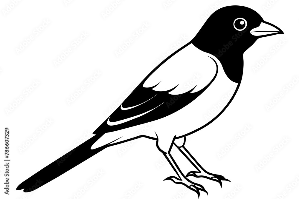 Obraz premium Broadbill line art vector silhouette