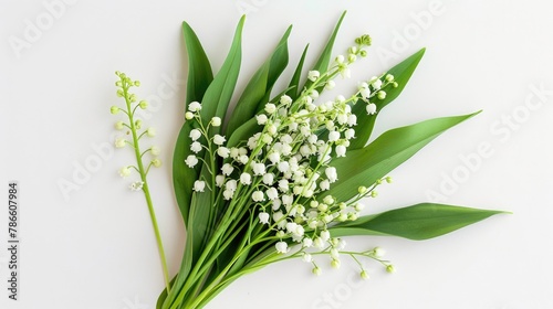 A bunch of white flowers on a white surface. Suitable for various design projects