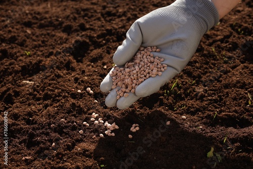 Man fertilizing soil, closeup. Space for text