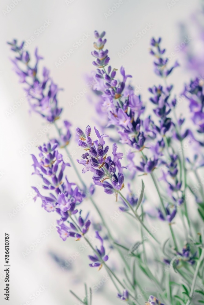 Naklejka premium Close up of a bunch of purple flowers, perfect for nature backgrounds