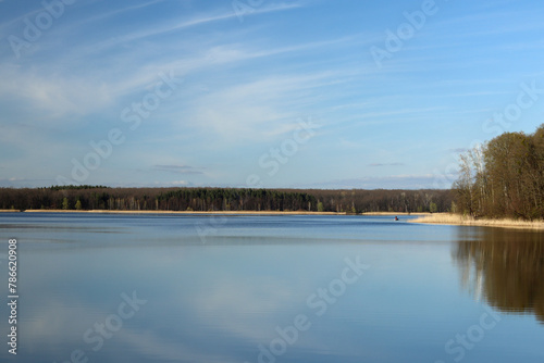 A forest lake with clear water on a clear spring evening.