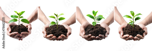 Set of a two hands hold a pile of they Young green plant in soil on a transparent background © Wajed