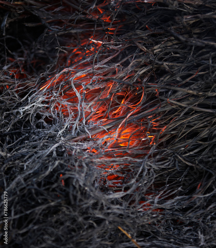 magical inferno, burning grass