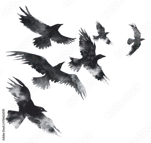 PNG Birds flying animal white background silhouette