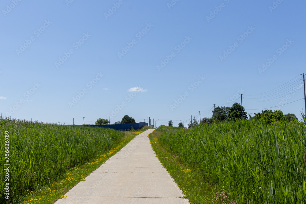 Clear blue sky - concrete path cutting through vibrant green grass. Taken in Toronto, Canada.