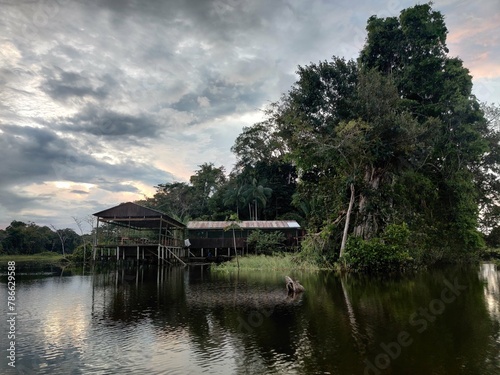 amazone lodge