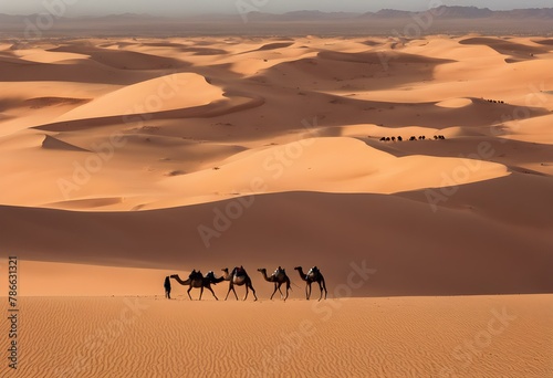 sand dunes in the desert