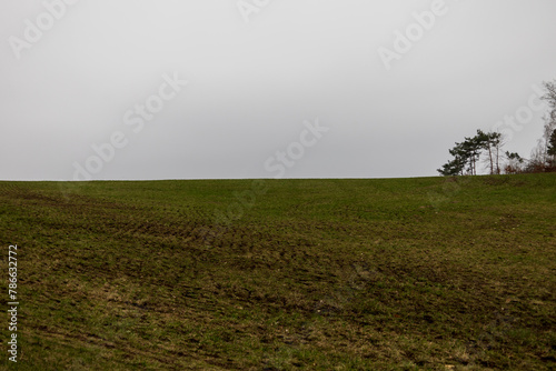 Spring landscape on a rainy day. Fields, roads, meadows