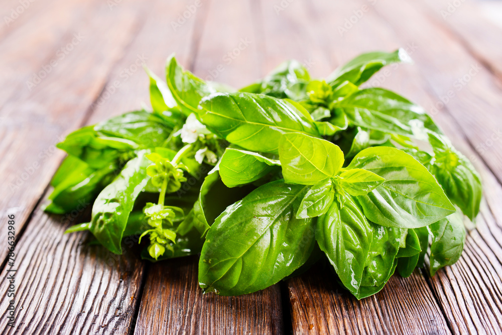 fresh basil on wooden table, basil leaf fresh basil on wooden table, basil leaf