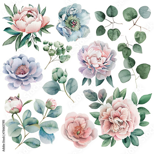 Charming watercolor clipart pack showcasing peonies and eucalyptus in delicate pastel hues, ideal for crafting stationery, posters, and digital backgrounds