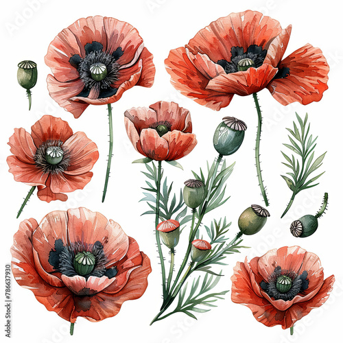 Vibrant watercolor clipart set featuring red poppy bouquets, single flowers, and elements in pastel tones. Perfect for floral designs, cards, and digital art.