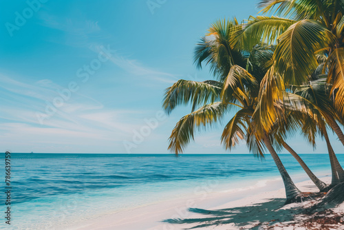 Beautiful tropical scenery with azure sea and sandy beach palm trees and clear sky  wild beach