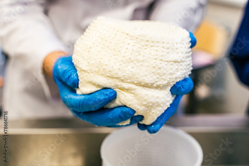 Production of mozzarella cheese, ricotta. Production of soft cheese. The hands of the cheese maker hold the future cheese. Close-up, selected focus