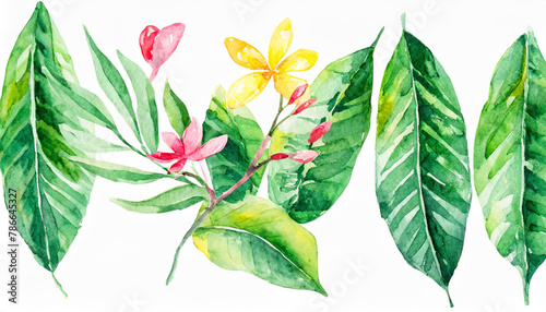 Watercolor of Tropical spring floral green leaves and flowers s isolated