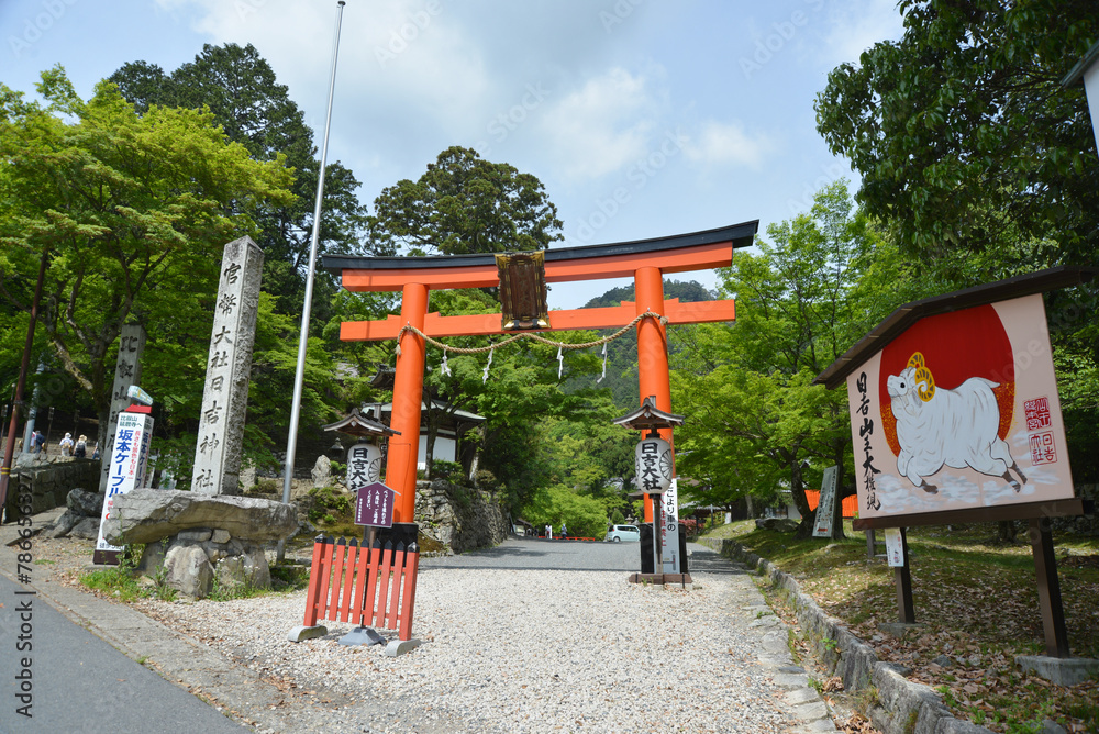 Naklejka premium 日吉大社 西本宮参道の鳥居 滋賀県大津市坂本