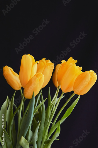 Yellow tulips on a black background, a bouquet of yellow tulips on a dark background