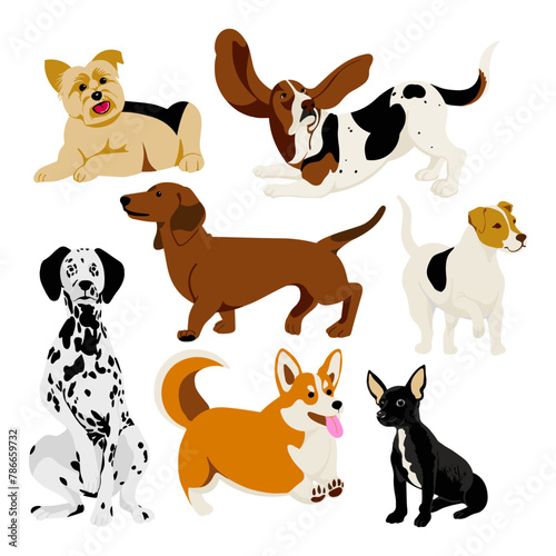 Conjunto de perros / dogs set