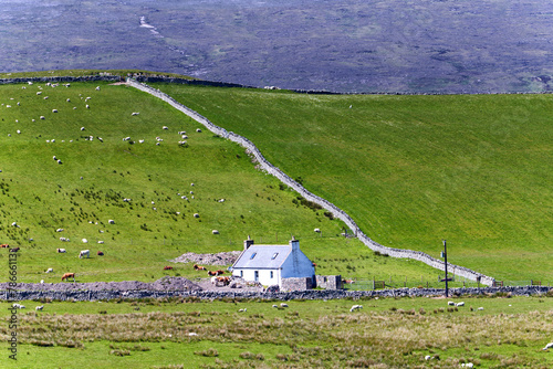 Bergerie et moutons au milieu des pâturages verdoyants en Ecosse à loch eriboll au printemps photo