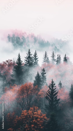 Foggy forest landscape with autumnal trees. Seasonal nature concept for peaceful background
