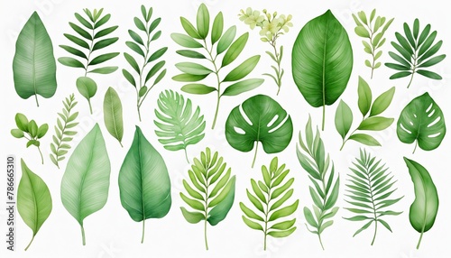 Set of Watercolor Tropical spring green leaves in bright colours 